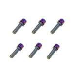 Tornillos Para La Potencia Manillar Gasolina (Pack 6 unidades)